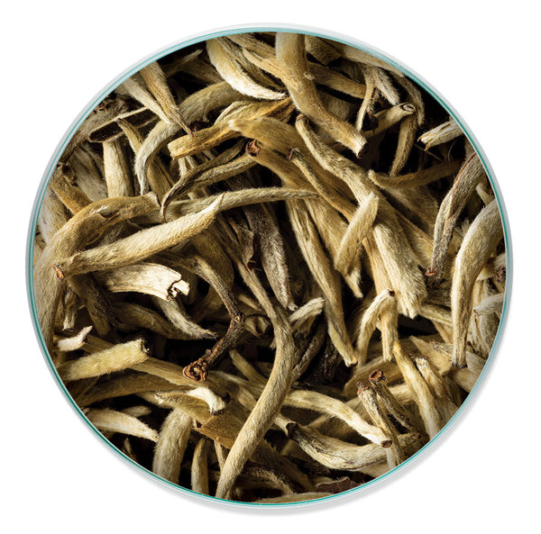 Silver Needle